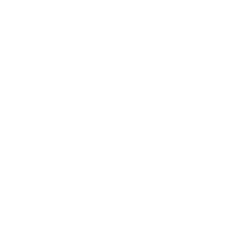 Four Seasons Logo White